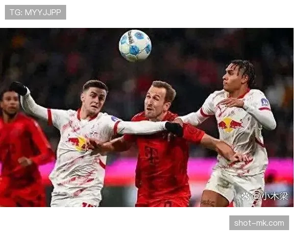 德甲新赛季引援活跃 各队实力升级引发关注