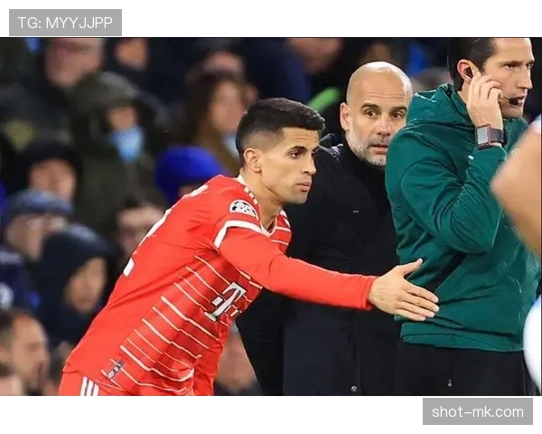 坎塞洛战术适配性